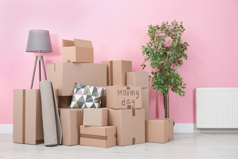 best Packers and movers in Jaipur